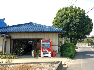 谷川製麺所の写真
