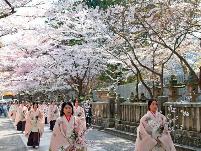 金刀比羅宮 桜花祭 祭 伝統行事 仲多度郡琴平町 イベント情報 さんラボ